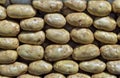 Group of brown fresh potatoes. Many fresh organic potatoes as a background. Royalty Free Stock Photo